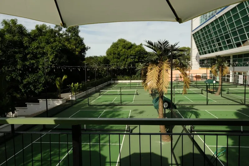 Green outdoor pickleball courts with nets and palm trees at Las Palmas Pickleball Club, seen from a shaded balcony in daylight